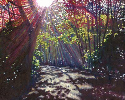 Scattered light by Helen White